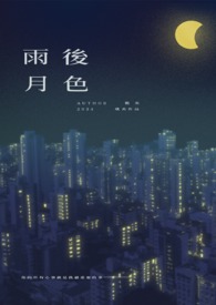 雨后月夜景色的诗句